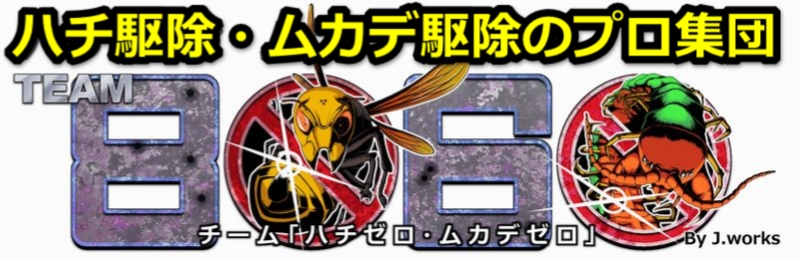 ムカデ,ヤスデ駆除はポッキリ価格のTEAM8060にお任せください!