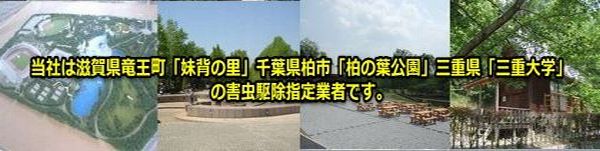 ムカデ,ヤスデ駆除はポッキリ価格のTEAM8060にお任せください。